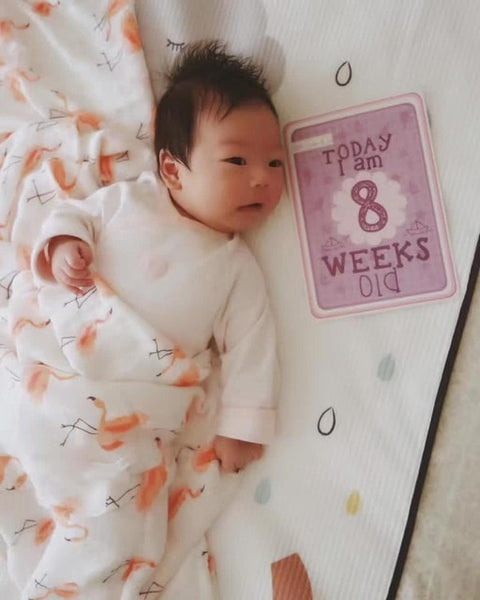 Baby Blanket